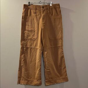 BDG Wide Leg Canvas Pants in Brown